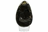 Septarian Dragon Egg Geode - Black Crystals #172814-1